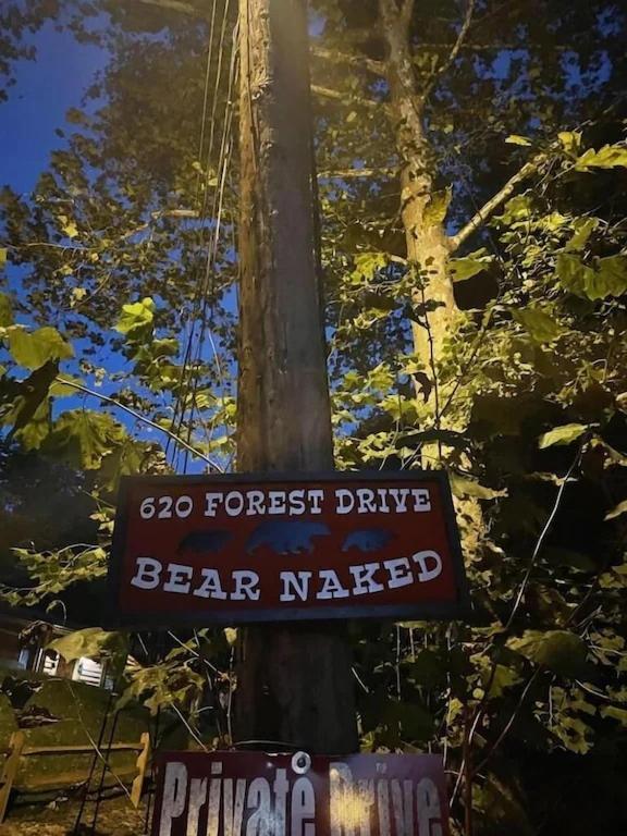 فيلا Bear Nakid بيدجن فورج المظهر الخارجي الصورة